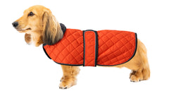 Geyecete warm thermal dachshund coat front view shows waterproof protection for chilly walks