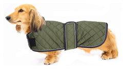 Geyecete warm-thermal-quilted-dachshund-coat front view keeps your dog warm on walks.