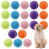 Giantree 20 pelotas de tenis para perros en caja, listo para juego exterior.