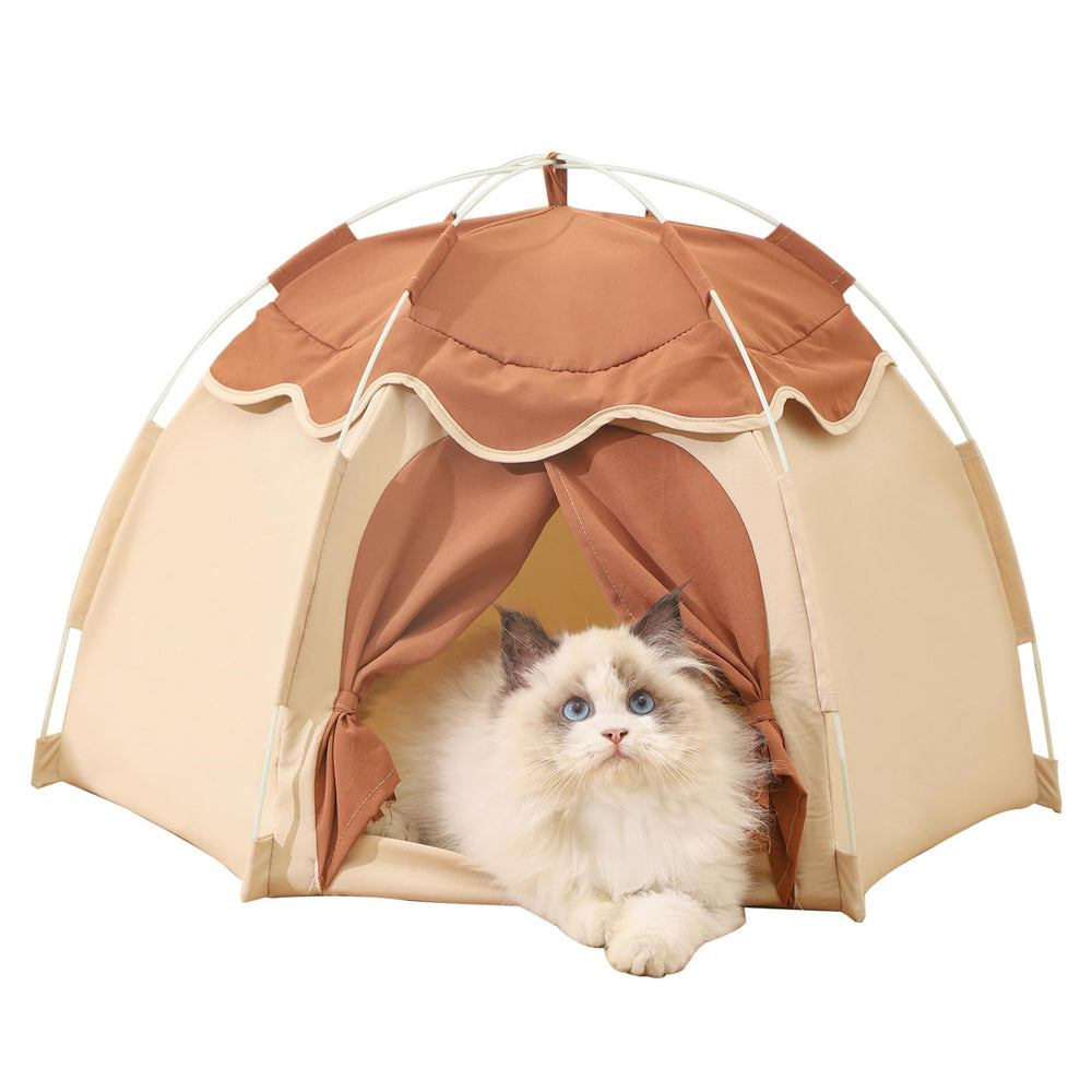 Gigreinc cat tent with flower canopy provides a cozy indoor retreat for curious cats.