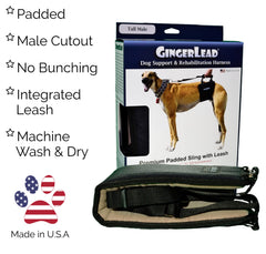 GingerLead adjustable sling length illustrates easy customization for different heights.