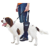 GingerLead dog sling harness front view shows secure support for small to medium dogs.