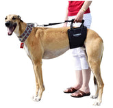 GingerLead dog sling harness side view demonstrates adjustable fit for tall lean breeds.