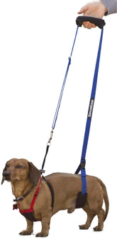 GingerLead dog sling harness side view for upright transfers and support.