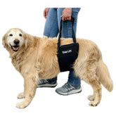 GingerLead Easy Lift Sling rear view with padded hind-leg support for assisted movement.