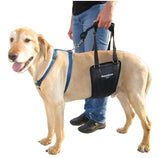 GingerLead rear sling harness side view shows fit for large dogs aiding mobility.