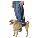 GingerLead sling-harness front view showing padded support for gentle lifting