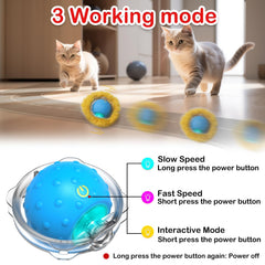 Giociv Interactive Cat Ball chirping sounds add hunting cues