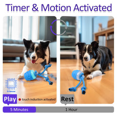 Giociv squeaky dog ball highlights chirping sounds that attract dogs for extended play.
