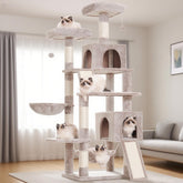 Gitelsnour cat tree base emphasizes stable foundation for safe climbing