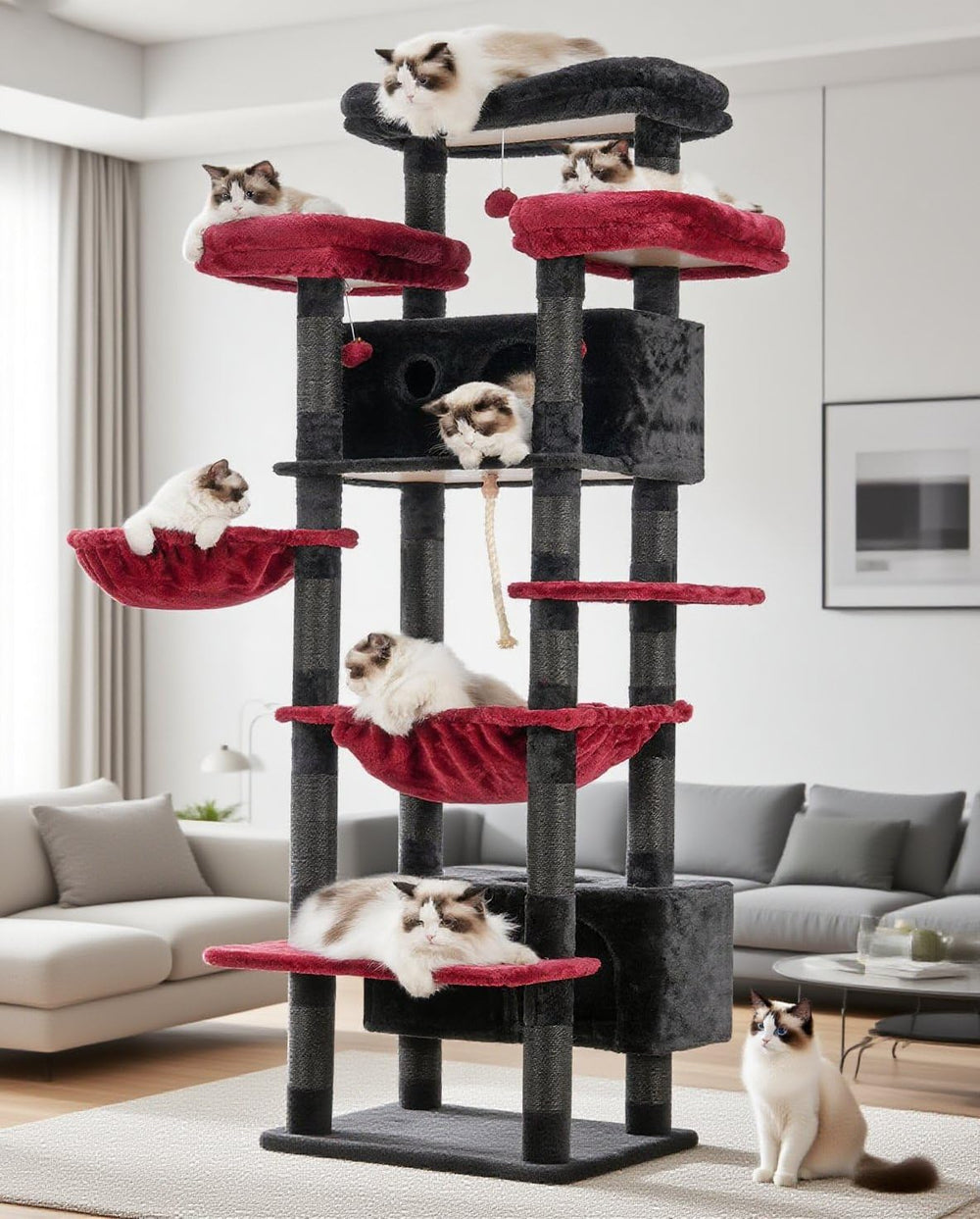 Gitelsnour cat tree top platforms offer elevated lounging for curious indoor cats.