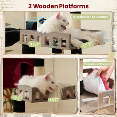 Gitelsnour cat tree two perches setup helps multi-cat households enjoy separate resting spots