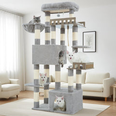 Gitelsnour Maine Coon Cat Tree top perch offers spacious lounging for big cats