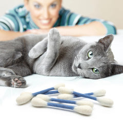 Glaciart One swabs cat toys interactive-play—boosts exercise and mental engagement for indoor cats