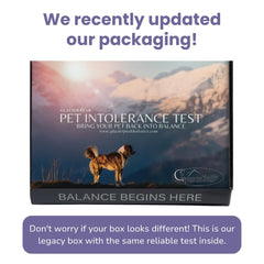Glacier Peak Holistics hair sample collection enabling non-invasive pet insights