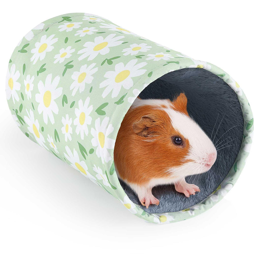Glittme tunnel canvas exterior shows durable construction for active small pets.