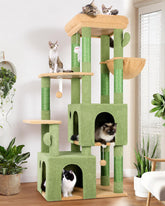 Globlazer Cactus Cat Tower top perch provides spacious lounging for large cats