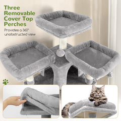 Globlazer 3 perches layout creates diverse lounging and climbing zones.