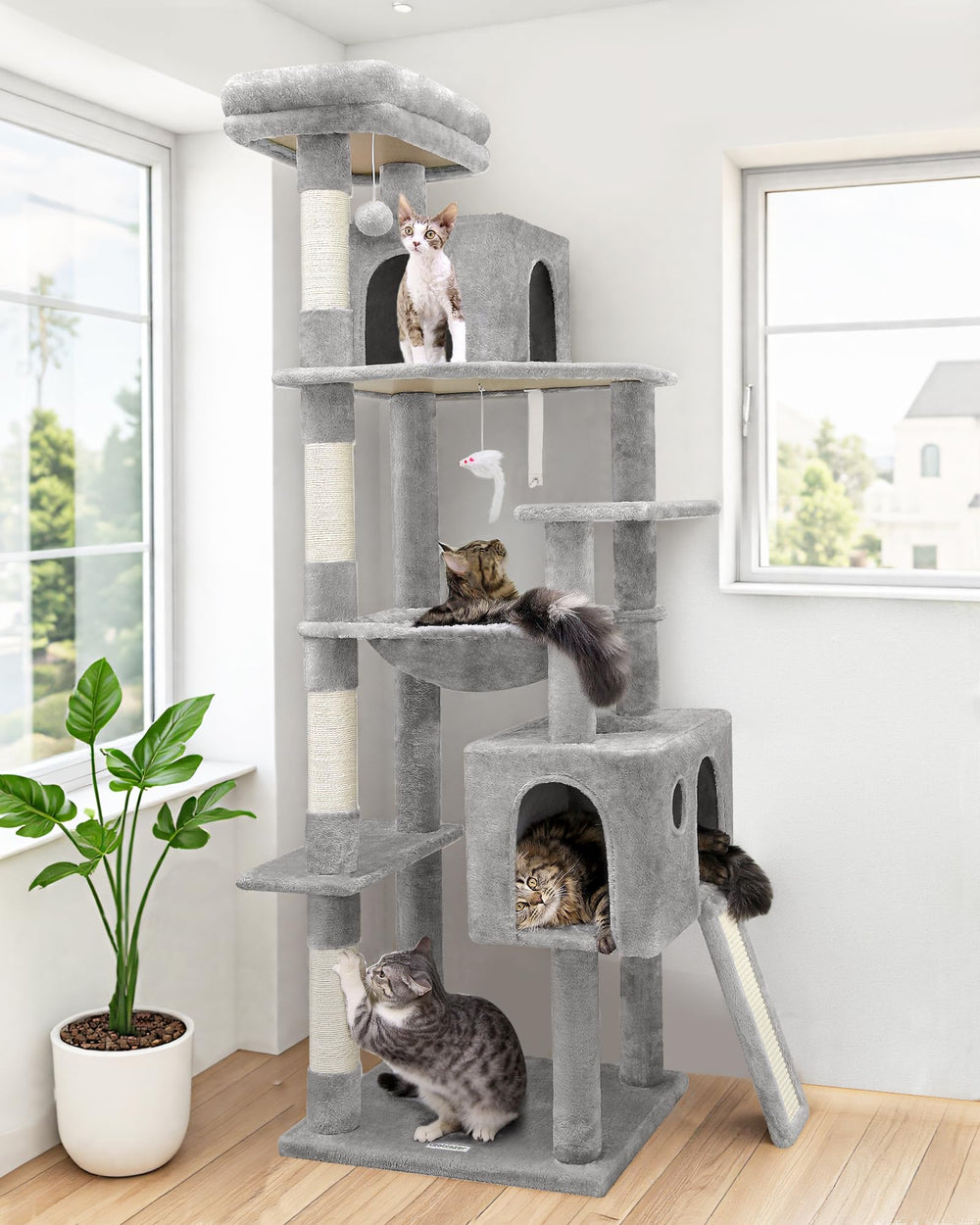 Globlazer F70 Pro hammock offers a roomy nap spot for adult indoor cats.