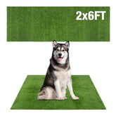 Globreen Grass Pad large 2ft6ft for dog potty training indoors or outdoors.