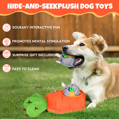 Globright Hide and Seek soft yet durable cotton construction is gentle on teeth.