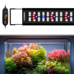 Glowrium aquarium light full-spectrum LED illuminates vibrant colors and supports plant growth in freshwater tanks