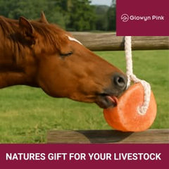 Glowyn Pink Himalayan salt block on rope for dairy cattle, supports hydration and electrolyte balance.
