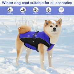 Gmayoo dog coat dual D-rings back enable leash versatility.