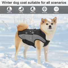Gmayoo dog coat dual D-ring leash design supports versatile daily walking