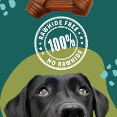 Gnawturals sabor mantequilla de maní ofrece experiencia sabrosa.