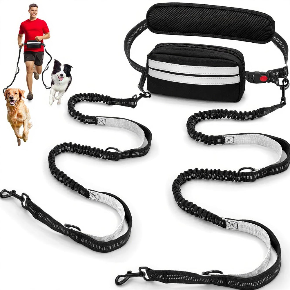 Godyoy double leash for two dogs with safety lock in action