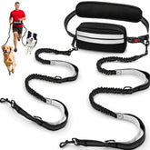 Godyoy double leash for two dogs with safety lock in action