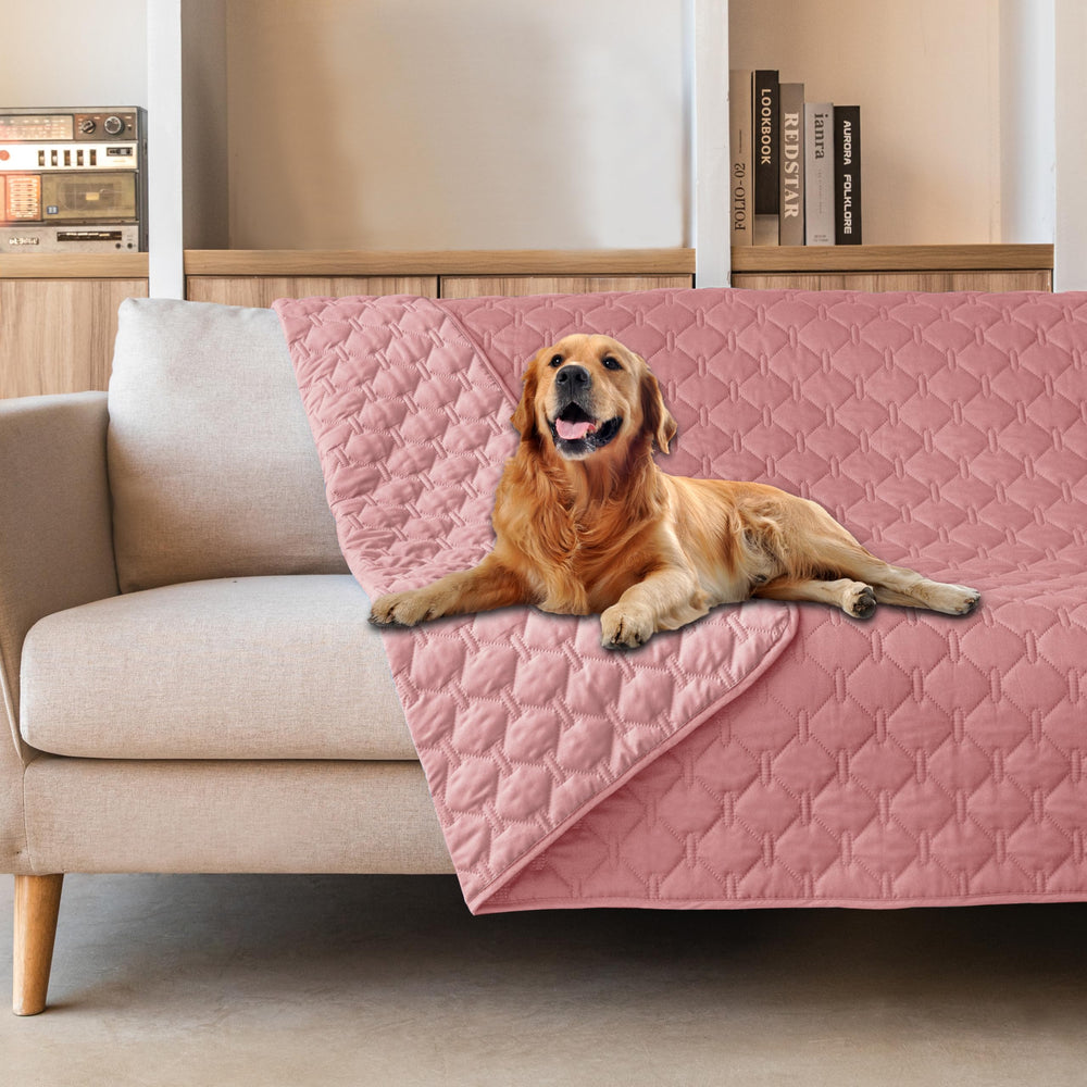 gogobunny 3x stronger waterproof pet blanket protects couch from paws and spills