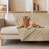 gogobunny 3x-stronger-waterproof-pet-blanket on sofa protects furniture from scratches and accidents