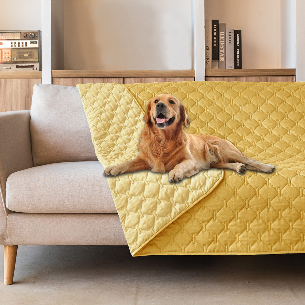 Gogobunny dog bed cover closeup highlighting double-sided waterproof protection for furniture.