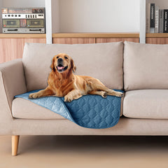 Gogobunny dog bed cover with waterproof outer layer protects furniture during play.