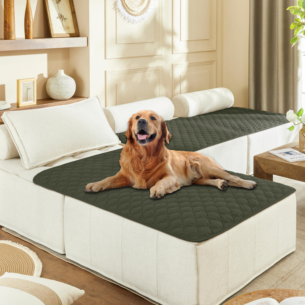Gogobunny dog blanket outer-layer waterproof protection shields furniture from spills.