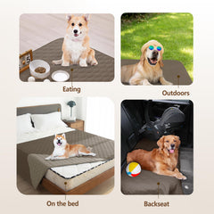 Gogobunny dog blanket on furniture shows double-sided reversible colors.
