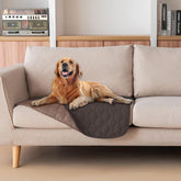 gogobunny dog blanket on sofa protects furniture from paws and spills.