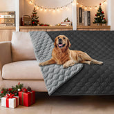 Gogobunny dog blanket on sofa with double waterproof protection.