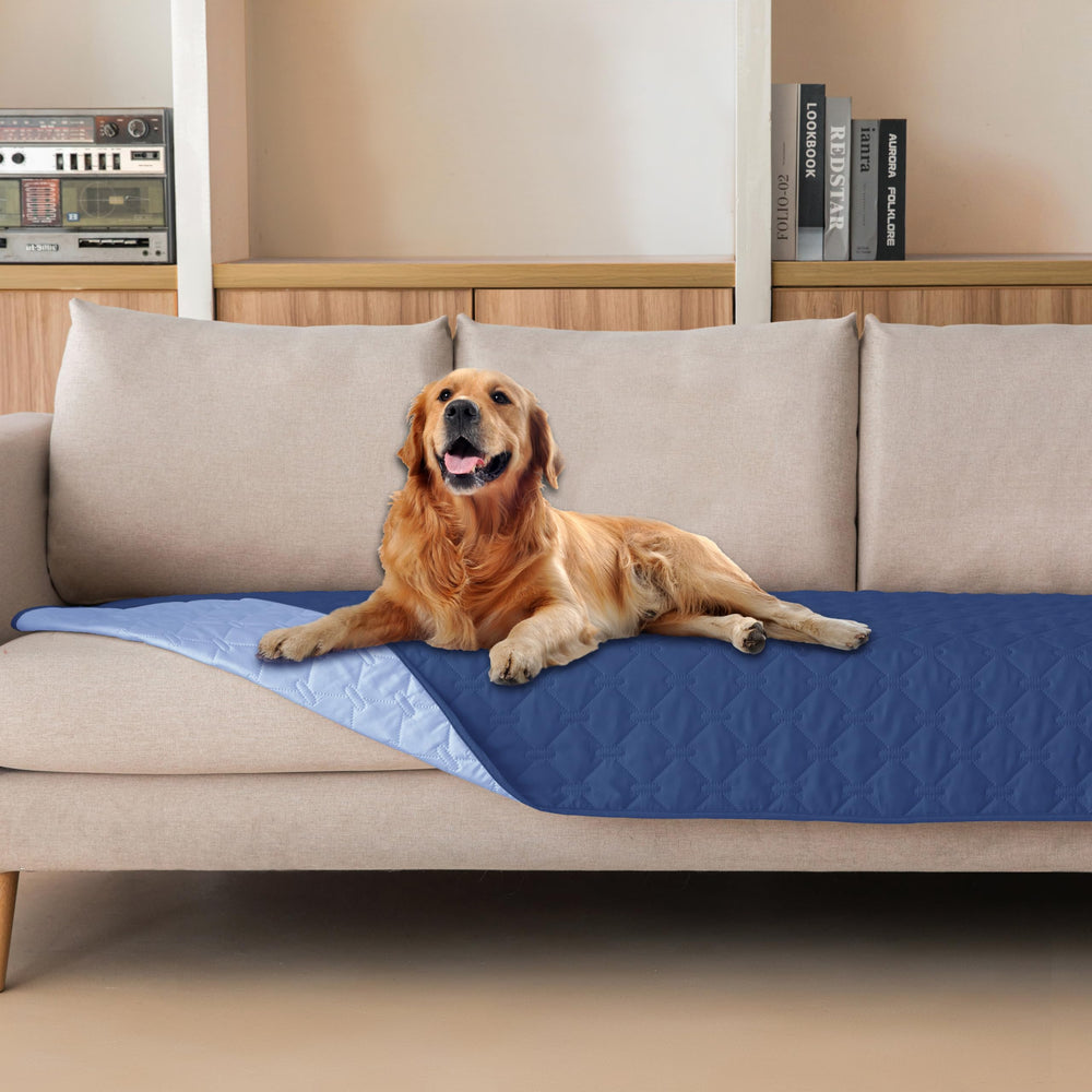 Gogobunny waterproof outer layer protects furniture from spills and accidents.