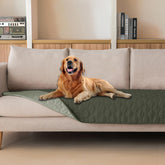 Gogobunny dog blanket waterproof outer layer protects furniture during playful sessions