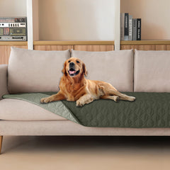 Gogobunny dog blanket waterproof outer layer protects furniture during playful sessions