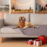Gogobunny double-sided waterproof blanket on sofa protects furniture from spills.