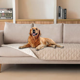 Gogobunny double-sided waterproof dog bed cover 30x90 protecting furniture from spills