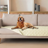gogobunny double-sided waterproof dog bed cover protects furniture during playtime.