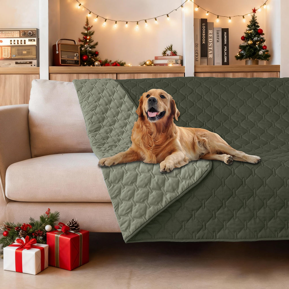 gogobunny double-sided waterproof dog blanket with dual protection for spills and wet paws