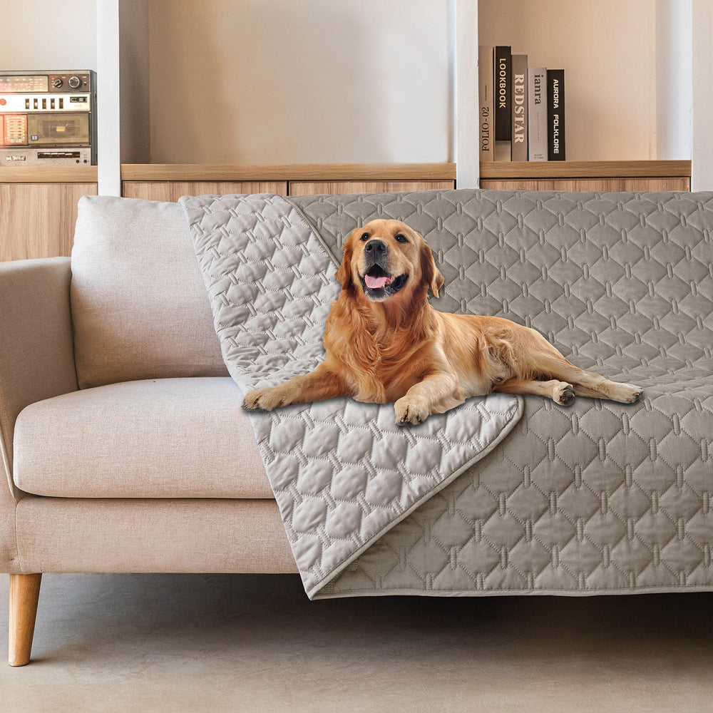 gogobunny double-sided waterproof dog blanket protects furniture from spills and dirt.