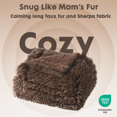 Gogobunny car-use pet blanket provides portable comfort on trips.