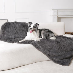 gogobunny pet blanket on sofa illustrates stylish protection for sofas and beds.